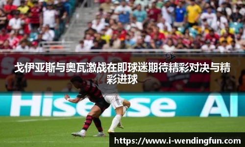 问鼎娱乐